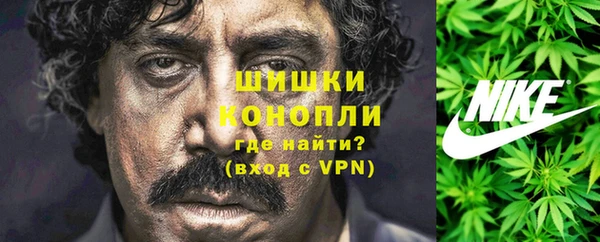 сатива Армянск