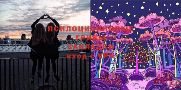 сатива Армянск