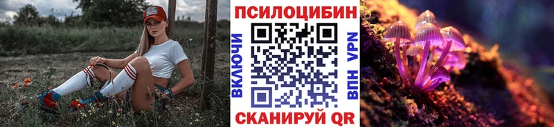 Галлюциногенные грибы мицелий хочу наркоту Вихоревка